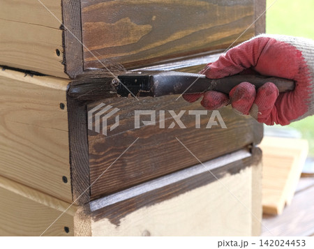 Brown oil for protection of wood by staining. Painting fence for protecting and pests. Woodworker applying finish to pine board box. Repairman varnishing with brush wooden fencing wall plank surface. Brown oil for protection of wood by staining. Painting fence for protecting and pests. Woodworker applying finish to pine board box. Repairman varnishing with brush wooden fencing wall plank surface. 142024453