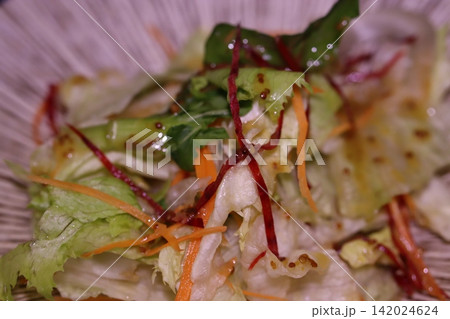 Fresh Vegetable Salad with Carrots and Herbs 142024624