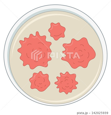 Irregular Bacterial Colony Growth in Petri Dish Vector Illustration Irregular Bacterial Colony Growth in Petri Dish Vector Illustration 142025939