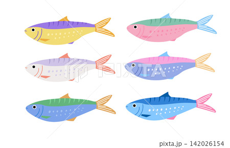 Colorful Sardines and Sea Fish Collection 142026154