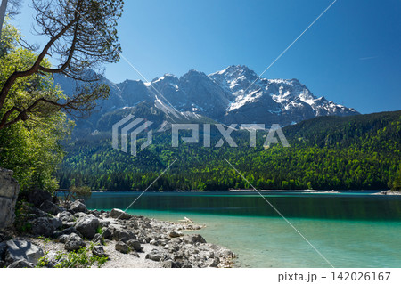 Travel landscape of Zugspitze Alps in Bavaria, Germany, scenic summer nature panorama with forest, Eibsee lake, snow mountains peak. Alpine landscape 142026167