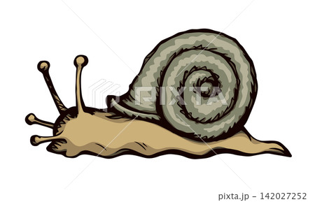 A snail creeps on the ground. Vector drawing A snail creeps on the ground. Vector drawing 142027252