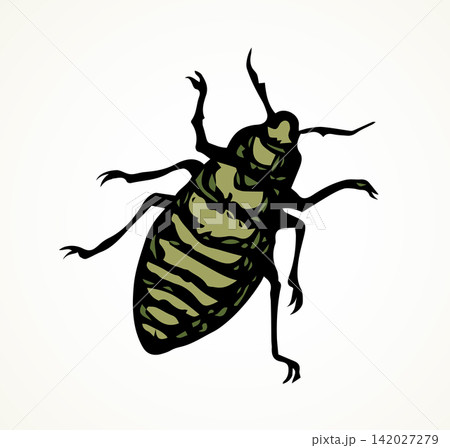Beetle. Larva. Vector drawing Beetle. Larva. Vector drawing 142027279