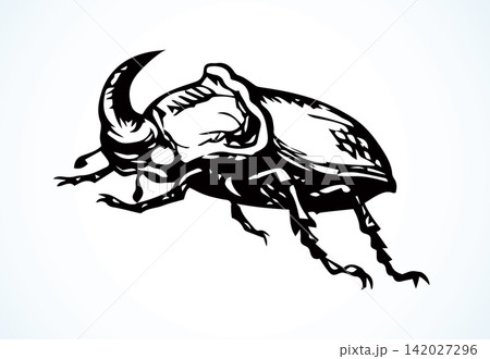 Rhinoceros beetle. Vector drawing Rhinoceros beetle. Vector drawing 142027296