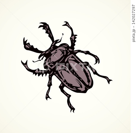 Lucanus cervus. Vector drawing Lucanus cervus. Vector drawing 142027297