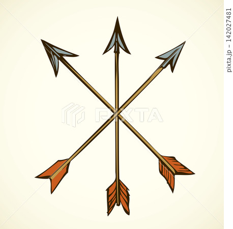 Arrows. Vector drawing 142027481