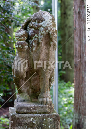 青海神社　参道の狛犬　新潟県加茂市 142028753