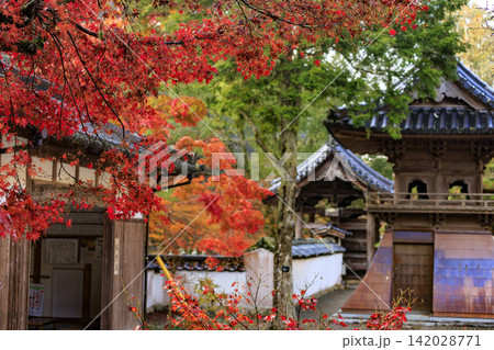 広島県紅葉の名所三原佛通寺境内の紅葉 142028771