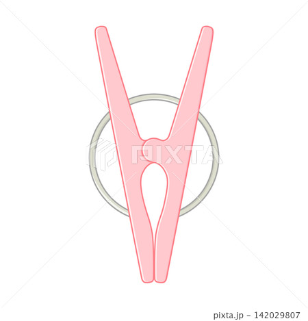 ピンク色の洗濯ばさみ ピンク色の洗濯ばさみ 142029807