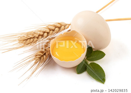 white Shell Chicken Eggs with Fresh Egg Yolk Food Ingredient 142029835