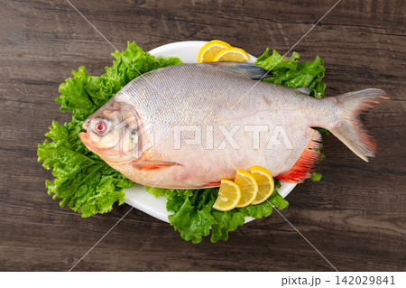 fresh White Pomfret Fish Seafood Ingredient for Cooking fresh White Pomfret Fish Seafood Ingredient for Cooking 142029841