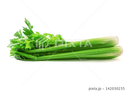 fresh Celery Stalk Vegetable Ingredient Close Up 142030235