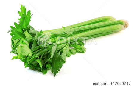 fresh Celery Stalk Vegetable Ingredient Close Up fresh Celery Stalk Vegetable Ingredient Close Up 142030237