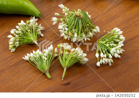 fresh Chinese Chive Flowers Green Vegetable Ingredient Close Up fresh Chinese Chive Flowers Green Vegetable Ingredient Close Up 142030252