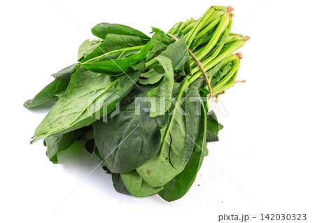 fresh Spinach Leaves Green Vegetable Ingredient Close Up fresh Spinach Leaves Green Vegetable Ingredient Close Up 142030323