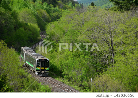 新緑の石北本線・常紋峠を走るH100形の列車 142030556
