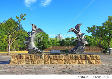 兵庫県姫路市、城見台公園から見た国宝姫路城と鯱の風景 兵庫県姫路市、城見台公園から見た国宝姫路城と鯱の風景 142030680