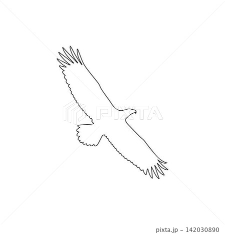 outline of a soaring eagle in flight with wings fully spread isolated on white background 142030890