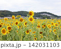夏の花のある風景 142031103