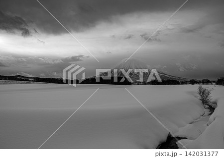 静けさに包まれた雪原と重厚な空のもとで圧倒的な存在感を放つ冬の羊蹄山のモノトーン風景 静けさに包まれた雪原と重厚な空のもとで圧倒的な存在感を放つ冬の羊蹄山のモノトーン風景 142031377