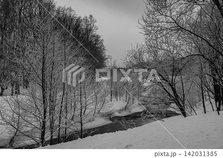 凛とした静寂に包まれた冬の森林と雪景色の中を揺らめき流れる小川 142031385