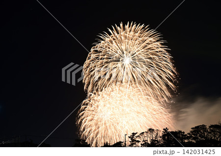 夏の夜空を彩る花火 142031425