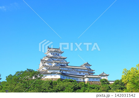 兵庫県姫路市、国宝姫路城の風景 兵庫県姫路市、国宝姫路城の風景 142031542