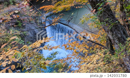 紅葉に彩られた鳴子峡の滝と美しい水流 紅葉に彩られた鳴子峡の滝と美しい水流 142031780