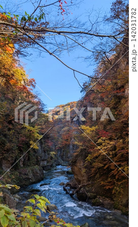 見上げれば紅葉と青空が広がる鳴子峡の渓谷沿い 見上げれば紅葉と青空が広がる鳴子峡の渓谷沿い 142031782