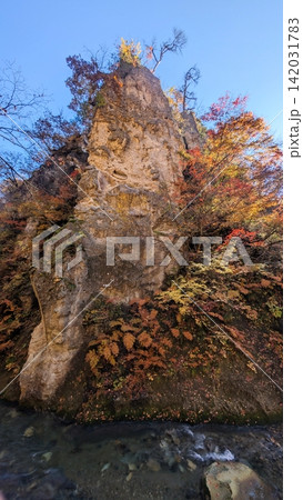 鳴子峡の深谷にそびえ立つ奇岩と周囲の紅葉 鳴子峡の深谷にそびえ立つ奇岩と周囲の紅葉 142031783