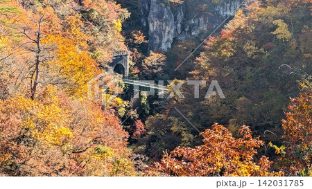 黄金色に染まる山肌とトンネルを望む秋の鳴子峡 142031785
