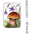 Vintage hand drawn illustration of a woodland mushroom surrounded by purple bellflowers, grass and forest plants, painted in a traditional watercolor and ink style 142031949
