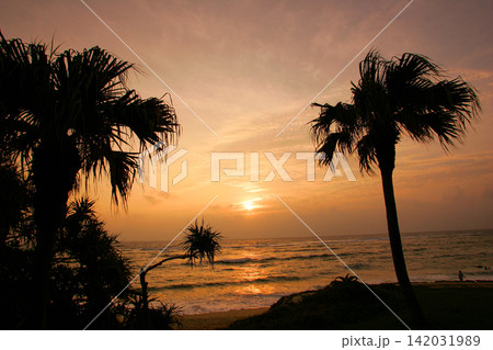 奄美大島 海の夕景 奄美大島 海の夕景 142031989