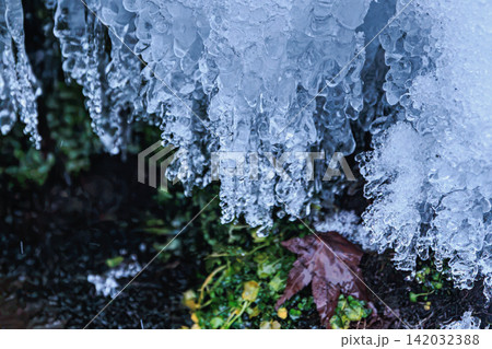 羊蹄山の豊かな自然が育む湧水と氷の美しい氷柱が魅せる神秘的な冬の造形 142032388