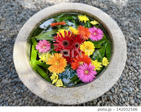 色とりどりのガーベラと笹の葉が水面に浮かぶ8月の涼しげな花手水〈菅生神社/愛知県岡崎市〉 色とりどりのガーベラと笹の葉が水面に浮かぶ8月の涼しげな花手水〈菅生神社/愛知県岡崎市〉 142032506