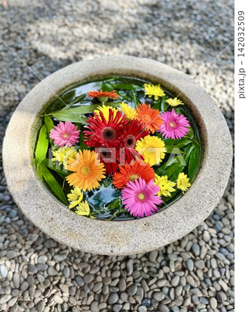 色とりどりのガーベラと笹の葉が水面に浮かぶ8月の涼しげな花手水〈菅生神社/愛知県岡崎市〉 色とりどりのガーベラと笹の葉が水面に浮かぶ8月の涼しげな花手水〈菅生神社/愛知県岡崎市〉 142032509