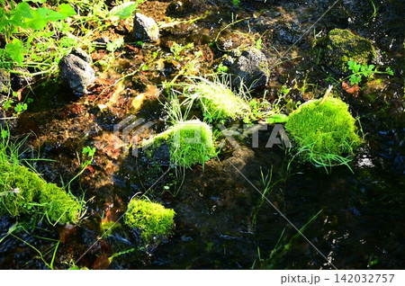 岩手山からの伏流水 生出（おいで）湧水 142032757
