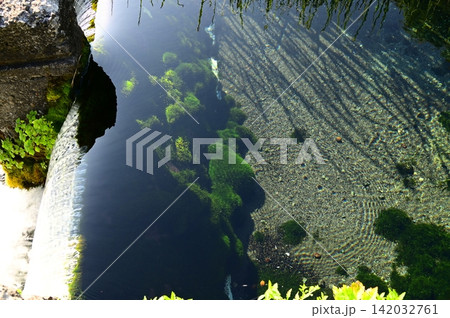 岩手山からの伏流水 生出（おいで）湧水 142032761