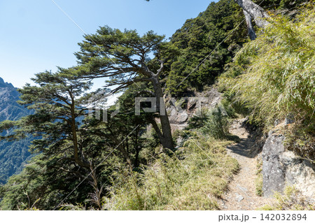 台湾最高峰、玉山登山ルートの風景 台湾最高峰、玉山登山ルートの風景 142032894