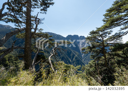台湾最高峰、玉山登山ルートの風景 142032895