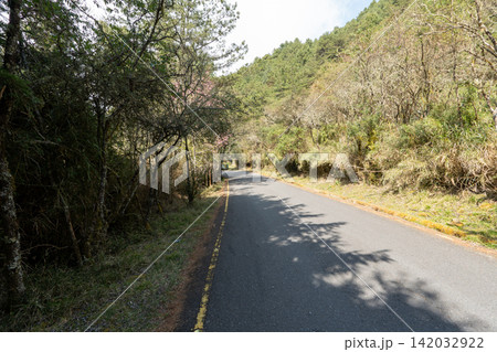 台湾最高峰、玉山登山ルートの風景 台湾最高峰、玉山登山ルートの風景 142032922