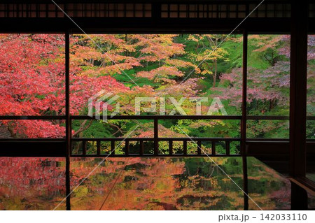瑠璃光院 瑠璃光院 142033110