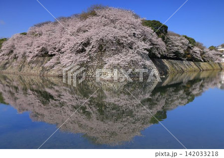 彦根城 彦根城 142033218