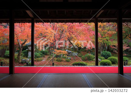 紅葉 紅葉 142033272