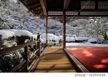 雪 雪 142033288