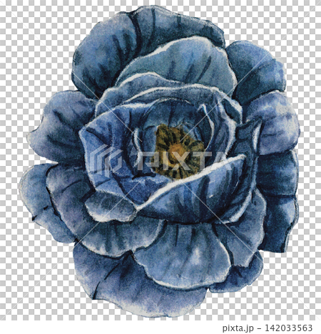 Blue Dahlia Flower Halloween Watercolor Illustration Blue Dahlia Flower Halloween Watercolor Illustration 142033563