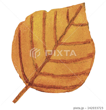Autumn Orange Leaf Watercolor Illustration for Halloween and Fall Design Autumn Orange Leaf Watercolor Illustration for Halloween and Fall Design 142033723