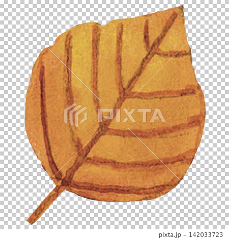 Autumn Orange Leaf Watercolor Illustration for Halloween and Fall Design Autumn Orange Leaf Watercolor Illustration for Halloween and Fall Design 142033723