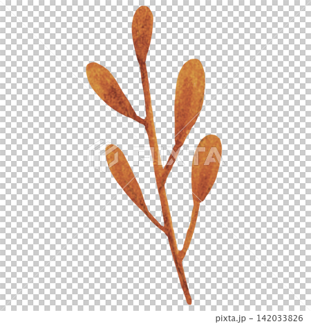 Minimal Autumn Leaf Branch Watercolor Illustration for Halloween Design Minimal Autumn Leaf Branch Watercolor Illustration for Halloween Design Minimal Autumn Leaf Branch Watercolor Illustration for Halloween Design Minimal Autumn Leaf Branch Watercolor Illustration for Halloween Design 142033826