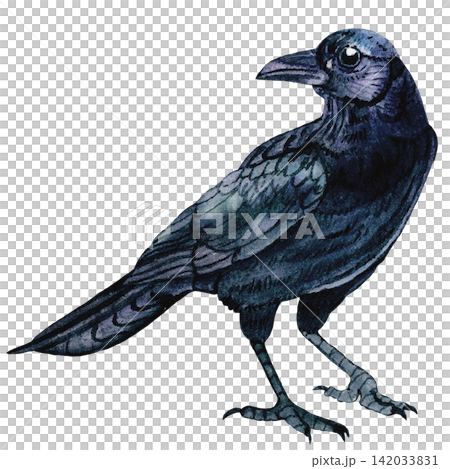 Halloween Black Raven Watercolor Illustration with Dark Gothic Atmosphere Halloween Black Raven Watercolor Illustration with Dark Gothic Atmosphere 142033831